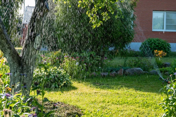 Smart Garden Activated Full Automatic Sprinkler Irrigation System Working Early — Stock Photo, Image