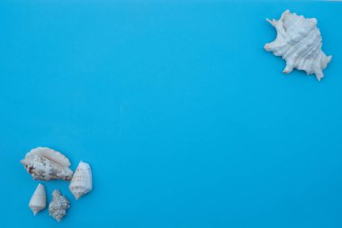 Deniz kabuğu, deniz yıldızı, plaj şapkası ve terlik satılan açık mavi masadaki tahta bloklar.