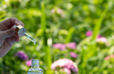 Yapraktan şişeye yağ damlıyor. Esans sıvı kozmetik. Parfüm. Romaterapi. Beyazda izole edilmiş.