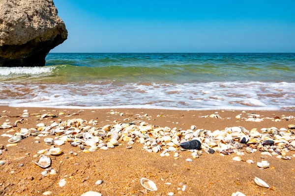 Kırım Yarımadası Koktebel Cape Hameleon Karadeniz Kıyısında — Stok fotoğraf