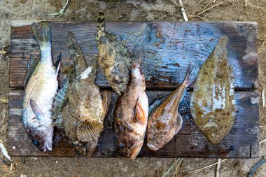Popüler berber aperatifi - Alushta, Kırım, Ukrayna pazarında satılan kurutulmuş tuzlu balık.