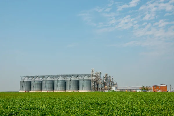 Silos in a barley field. Storage of agricultural production. In field — Stock Photo, Image