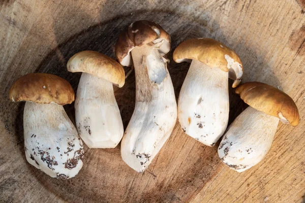 Cogumelos Outono Cogumelos Porcini Populares Uma Mesa Madeira — Fotografia de Stock