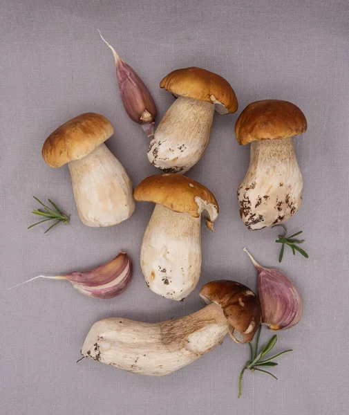 Porcini Orgánico Sazonador Champiñones Bosque Champiñones Especias Italianas Herb Cooking — Foto de Stock