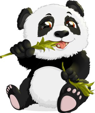 Bambu yemeyi çok sevimli panda