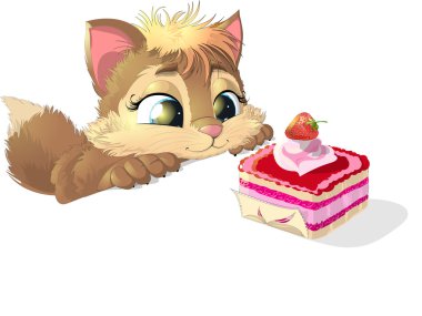 Yavru kedi