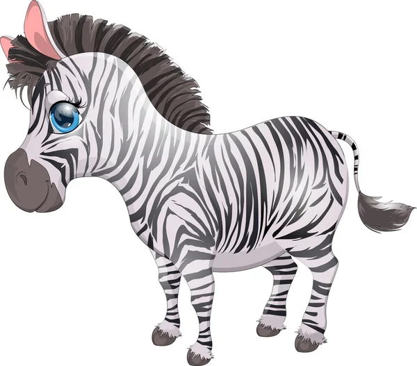 A Zebra —  Vetores de Stock