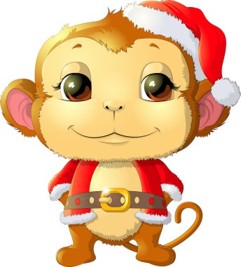 maymun beyaz arka planda oturuyor