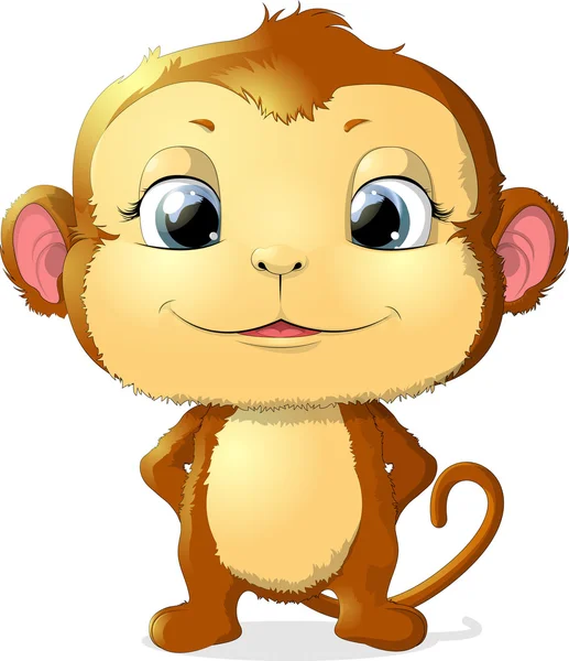 Monkey sitting on a white background — Stock Vector