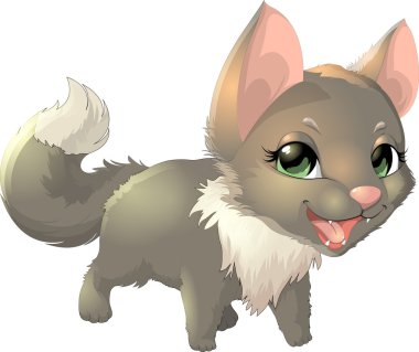 Beyaz arka planda güzel bir kedi