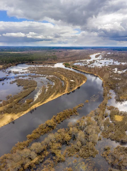 A forest in the water after a flood caused by a spring flood. The Berezina River in the Republic of Belarus.