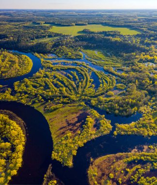 Picturesque floods on the Berezina river! Spring river and floodplain of the flooded river.