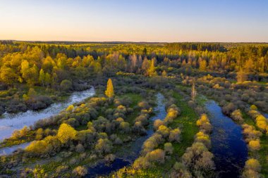 Picturesque floods on the Berezina river! Spring river and floodplain of the flooded river.