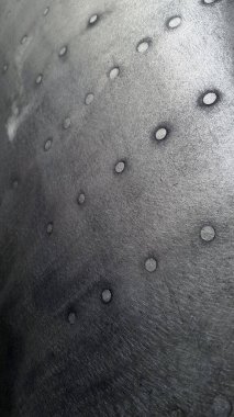 Sürüklenmiş metal yüzey. Perçinli eski metal