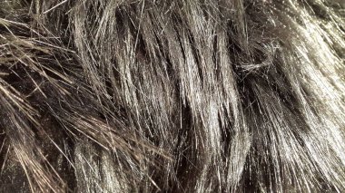 Yumuşak yün. Saç yüzeyi. Fleecy arkaplanı