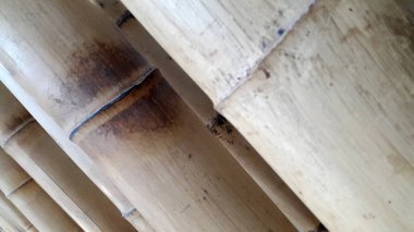 Bambudan eski bir arkaplan. Bambu ağacı.