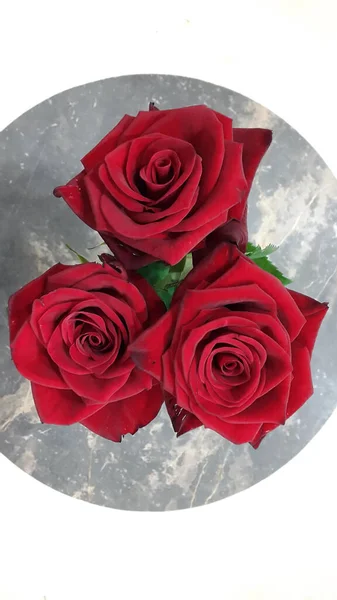 Rote Rosen Auf Einem Marmorhintergrund Drei Rote Rosen — Stockfoto