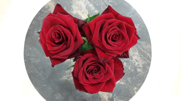 Rote Rosen Auf Einem Marmorhintergrund Drei Rote Rosen — Stockfoto