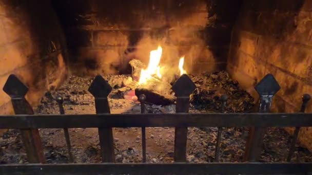 Flamme Brûlante Dans Cheminée Flamme Intérieur Cheminée — Video