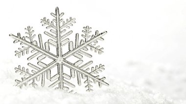 Kar taneleri. Beyaz arkaplanda buzlu kar tanesi