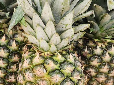 Yapraklı ananas. Olgun ananas. Ananas reklamı geçmişi