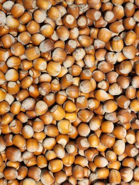 Fındık. Fındık reklamı için arka plan. Kabuklu fındıklar.