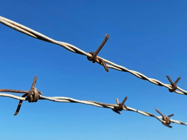 Closeup Barbed Wire Blue Sky — Stock Photo, Image