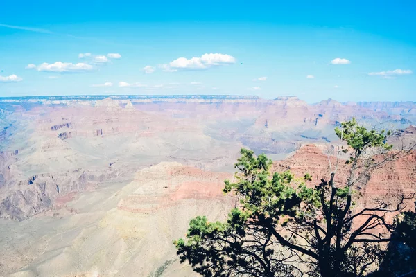 GRAND CANYON, ARIZONA - CIRCA 2011: Grand Canyon in September, 2011 in Arizona, USA. — Stock Photo, Image