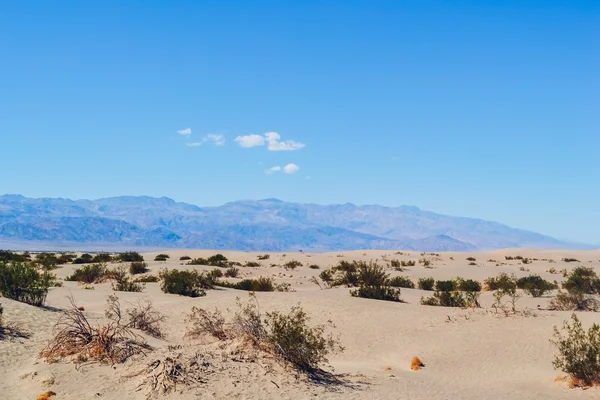 Ölüm Vadisi Milli Parkı, ABD - 2011 yaklaşık: Mesquite düz kum tepeleri Ölüm Vadisi Milli Parkı, Nevada, ABD Yaz 2011 yaklaşık çölde. — Stok fotoğraf