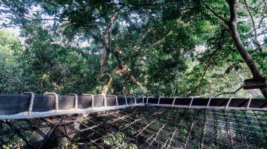 MINCA, COLOMBIA - CIRCA MARCH 2020: Kolombiya 'nın kuzeyindeki Karayipler kıyısındaki dağlarda Minca kahve köyünde orman manzaralı büyük hamak.