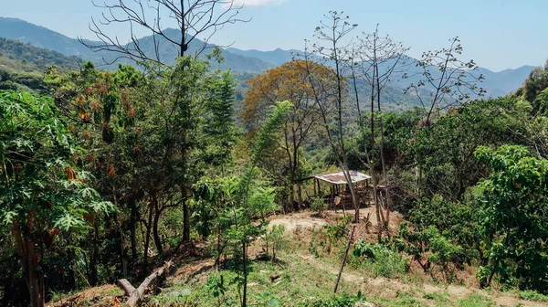Minca Colômbia Circa Março 2020 Vista Das Montanhas Floresta Verde — Fotografia de Stock
