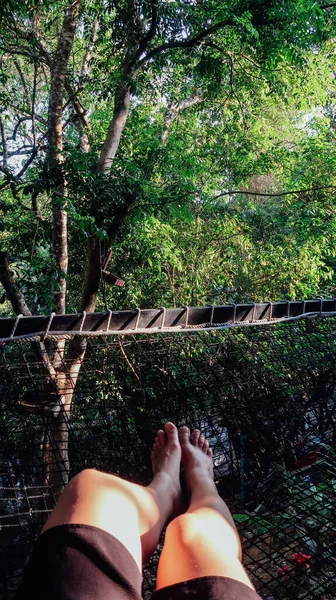 Minca Colombia Circa March 2020 Huge Hammock Forest View Minca — Stock Photo, Image