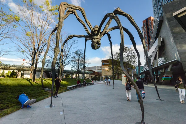 Araña mori en Tokio, Japón —  Fotos de Stock