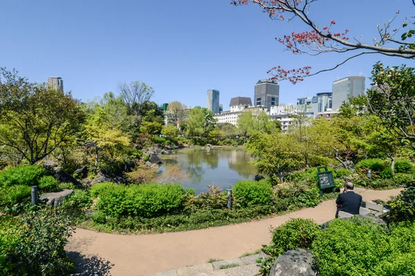 Bel parco tranquillo a Tokyo, Giappone — Foto Stock