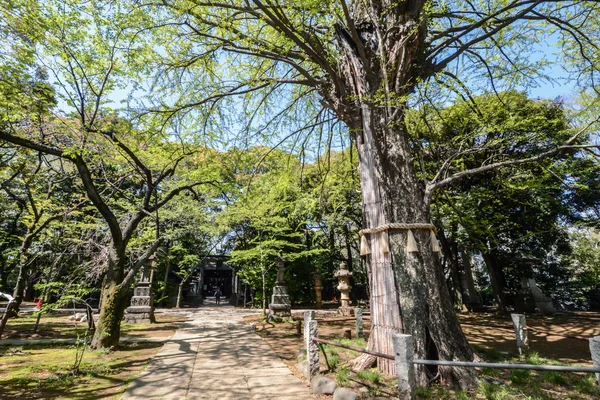 En Tokio, Japón —  Fotos de Stock