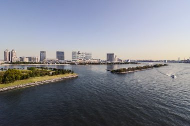 yapay ada defne, Tokyo Japonya
