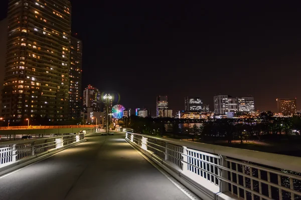 Ruota panoramica sull'isola di Odaiba. Tokyo, Giappone — Foto Stock