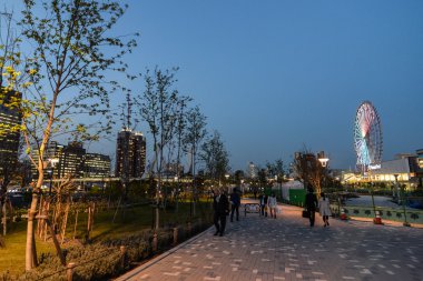 Dönme dolap gece Odaiba Adası'nda. Tokyo, Japonya