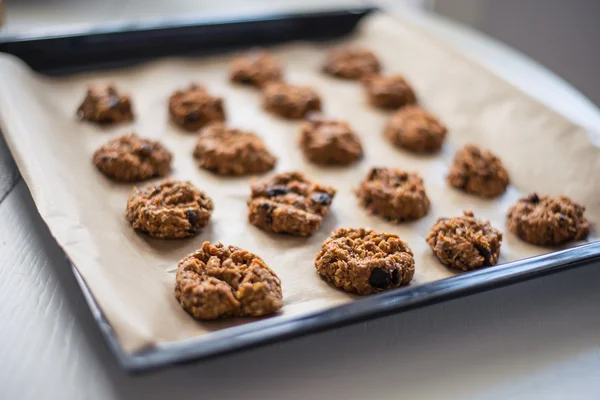 Fresh made healthy oatmeal cookies — Stock Photo, Image