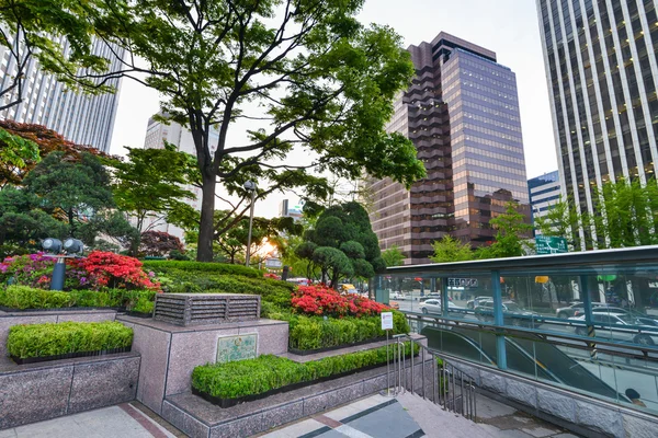 Hermoso jardín en el centro de Seúl al atardecer, Corea del Sur — Foto de Stock
