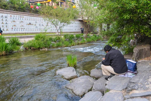 A sörény Cheonggyecheon-ro-csatorna partján ült és ebédelni. Szöul, Korea — Stock Fotó