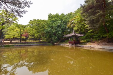 Çardak bölge alace Palace, Seul, Kore üzerinde güzel gölet