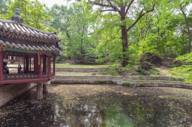 Alace bölge Palace, Seul, Kore ağaçta arasında huzurlu gölet