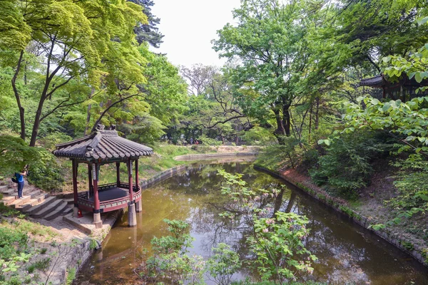 Один из многочисленных прудов на территории дворца Чандэокгун, Сеул, Корея — стоковое фото