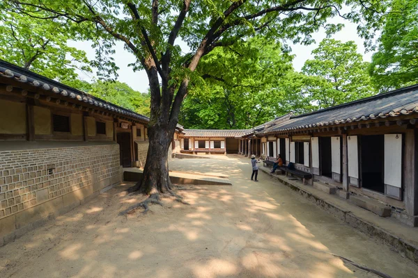 Древние здания на территории дворца Чандэокгун, Сеул, Корея — стоковое фото