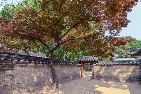 Vacker natur på territoriet av Changdeokgung palatset, Seoul, Korea — Stockfoto