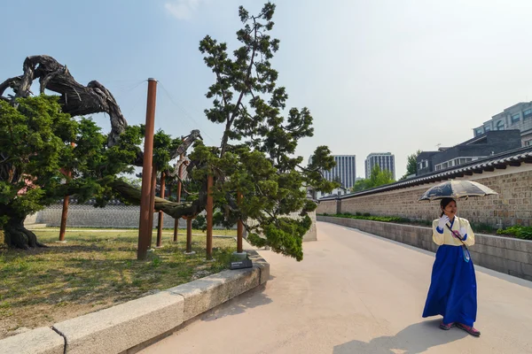 Koreanska färdledare på territoriet av Changdeokgung palatset, Seoul, Korea — Stockfoto