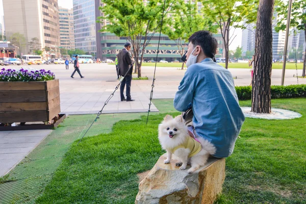 Küçük köpeğiyle Seoul City Hall'da oturma bir Koreli herif