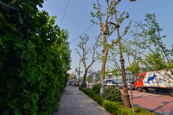 ソウル市内の歩道に緑の植物がたくさん — ストック写真