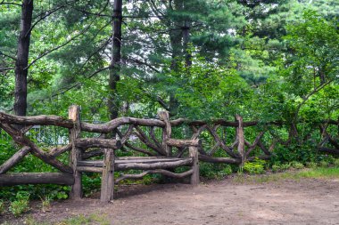 Central Park, New York City, ABD güzel ahşap tezgah